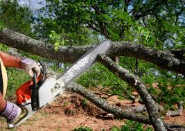 Reliable Hobart, IN Tree Removal and Landscaping Services Solutions